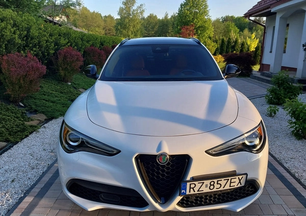 Alfa Romeo Stelvio cena 189000 przebieg: 11000, rok produkcji 2023 z Rzeszów małe 667